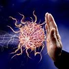 Immunity